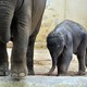 Antwerp Zoo