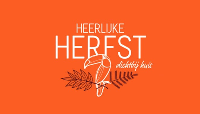 heerlijke herfst antwerpen