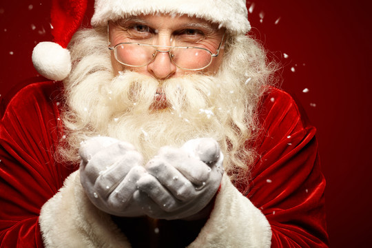 Gastronomic Christmas experience 