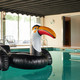 Swim